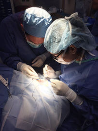 Doctors Performing Eye Surgery